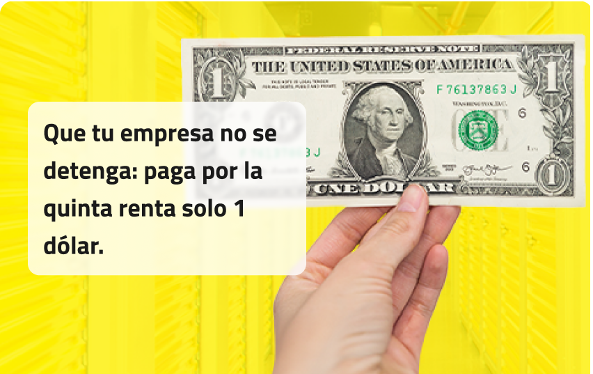 Quinta renta a un dolar